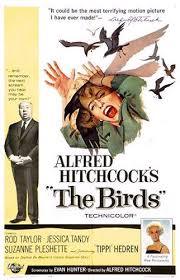 鳥　　　　　　　　　The Birds   ヒッチコック監督の傑作の一つ